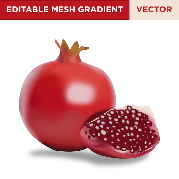 Pomegranate fruit illustration