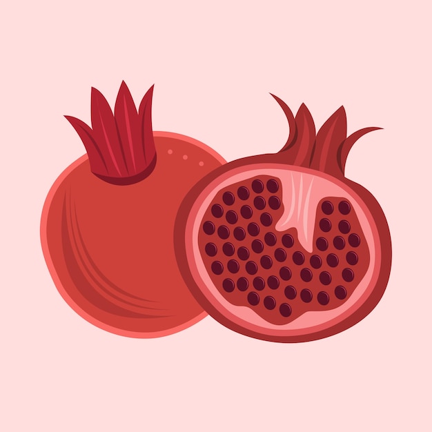 Vector pomegranate fruit illustration