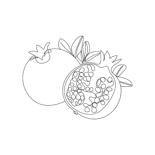 Pomegranate fruit. One line art. Whole and half sliced healthy pomegranate. Vector illustration.