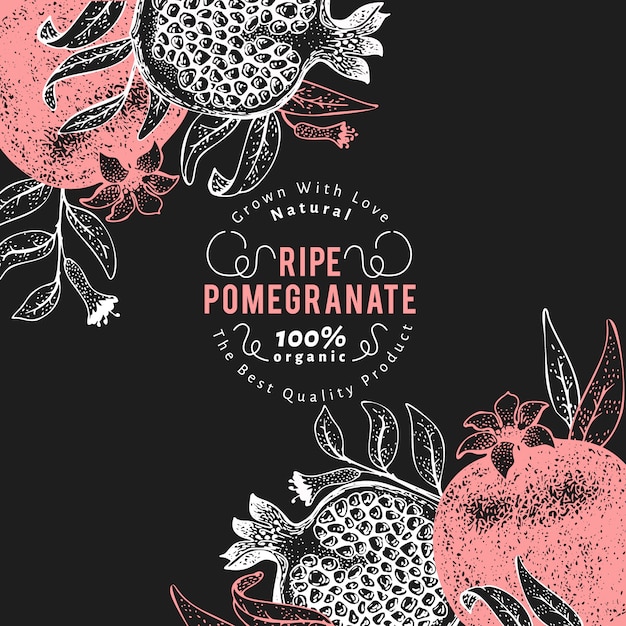 Pomegranate fruit  template. hand drawn  fruit illustration on chalk board. engraved style vintage botanical background.