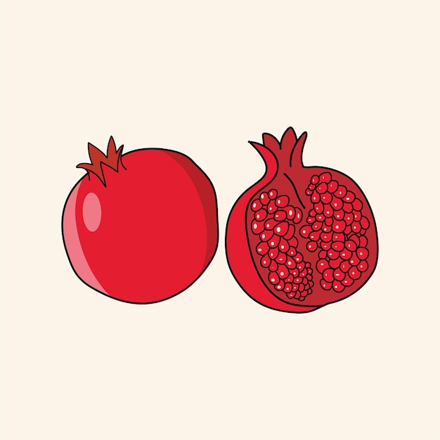 Pomegranate Fruit Vector Illustration