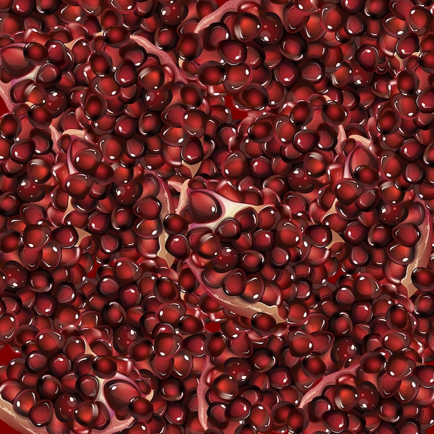 Vector pomegranate and grain background texture