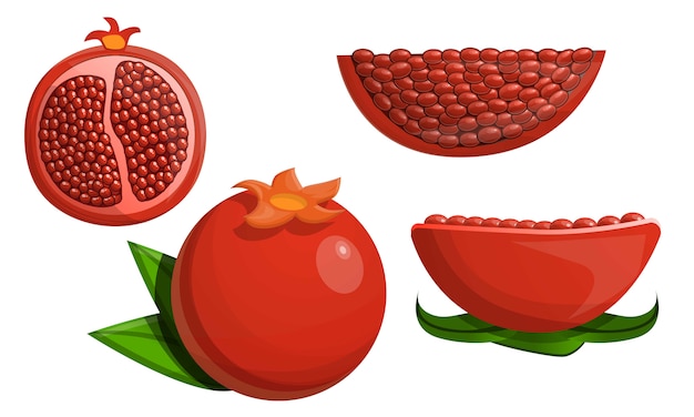 Pomegranate icon set, cartoon style