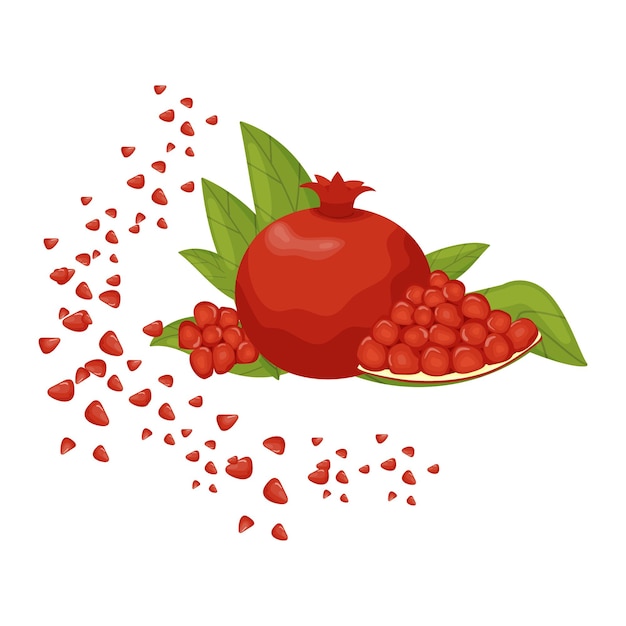 Pomegranate pomegranate seeds Flat vector illustration