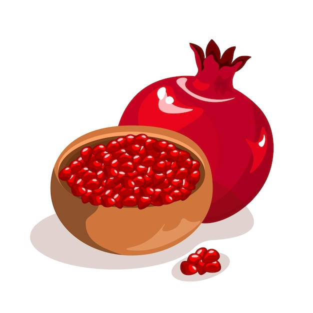 Vector pomegranate seeds in a plate vector illustration