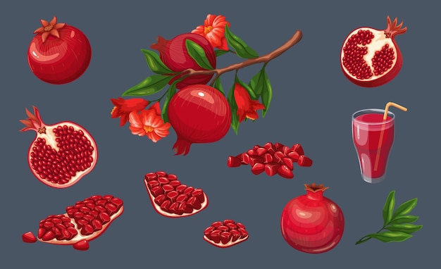 Vector pomegranate set garnet fruit with ruby seeds juice in glass with straw garden branch