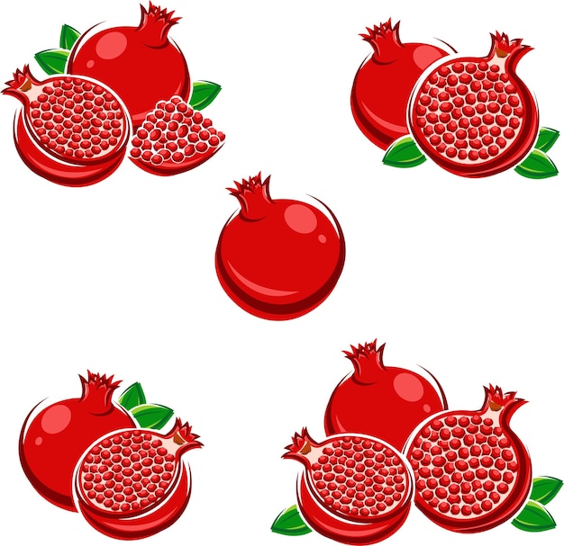 Vector pomegranate set vector