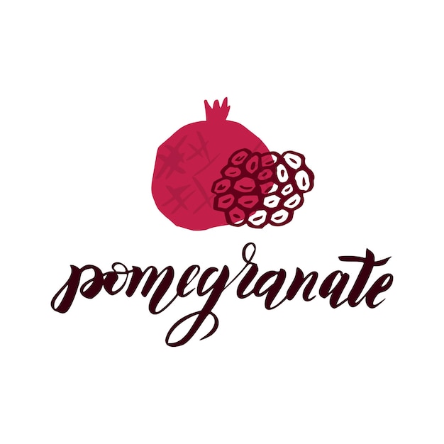 Pomegranate vector logo isolated on white background. pomegranate and seed for emblem, label for shana tova design. garnet and grains with hand drawn lettering - logo design.