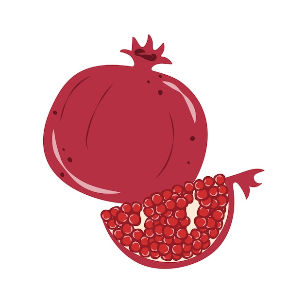 Vector pomegranate whole and cut into halves