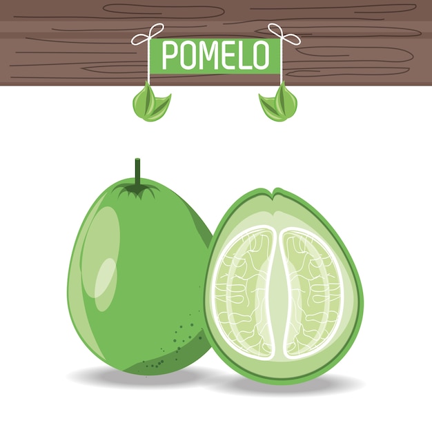 Pomelo fruit pictogram