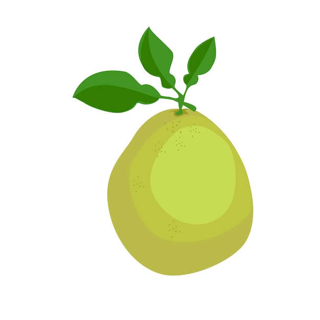 Illustrazione vettoriale del pomelo in stile cartone animato frutta shaddock con corteccia verde citrus maxima clip art