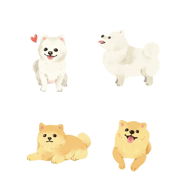 Pomeranian dog illustration collection