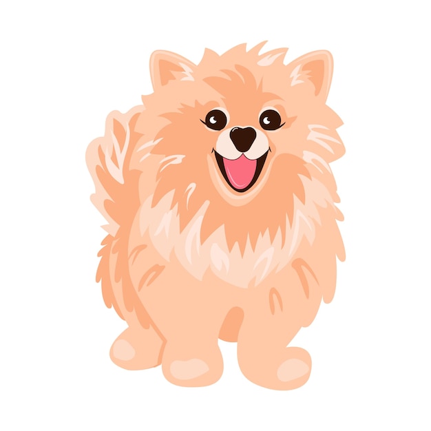 Vector pomeranian spitz cream on white background cute poms puppies small german spitz little dogs