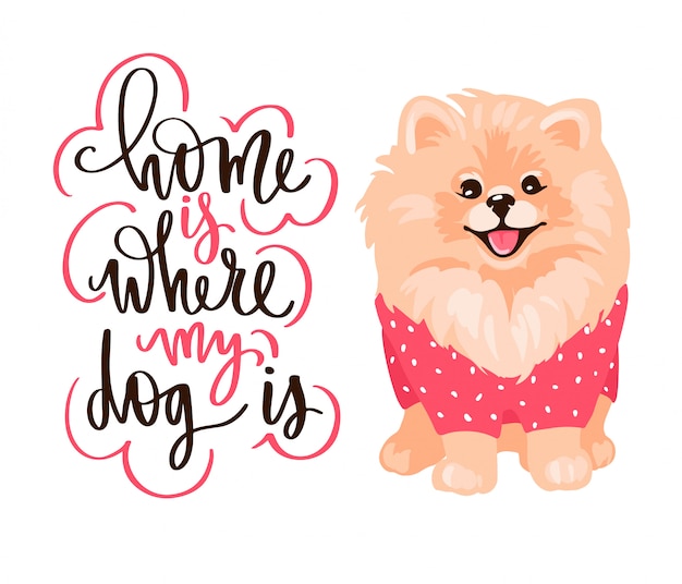 Vector pomeranian spitz puppy isolated