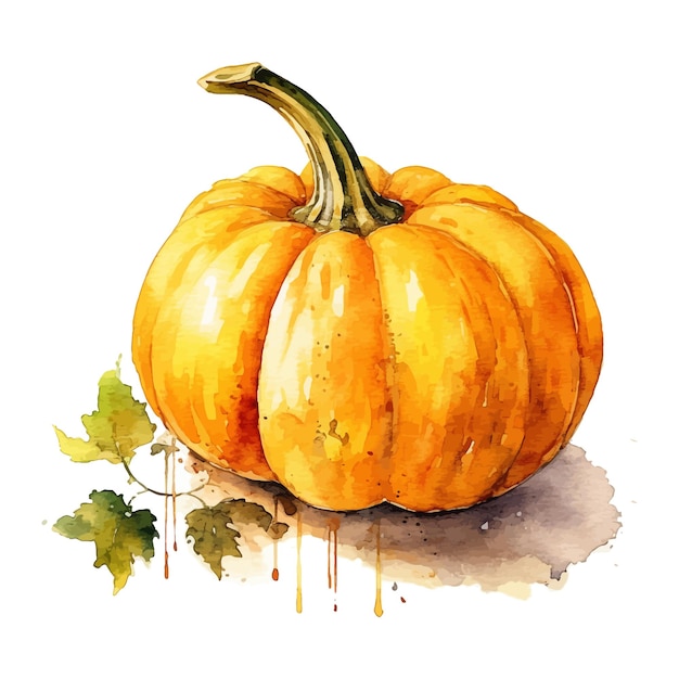 Pompoen Aquarel clipart