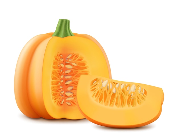 Pompoen en pompoen segment geïsoleerd op witte achtergrond Decoratieve kunst element voor Thanksgiving Halloween viering lay-outontwerp Helder oranje fruit Groentebeurs Realistische 3D-vector