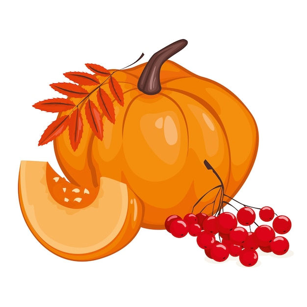 Pompoen en veel rode lijsterbessen met oranje herfstbladeren, vectorillustratie op een witte achtergrond