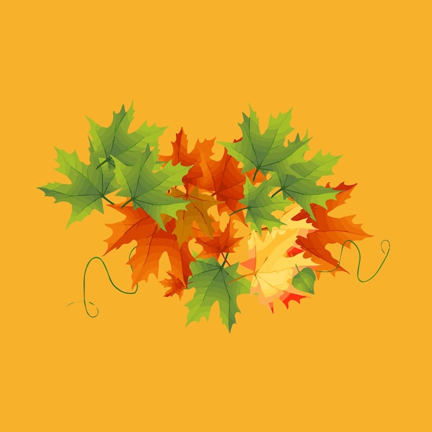 Pompoen herfst thanksgiving blad illustratie