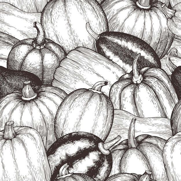 Pompoen naadloze patroon Vector hand getekende illustraties Thanksgiving achtergrond in retro stijl met pompoen oogst Herfst achtergrond