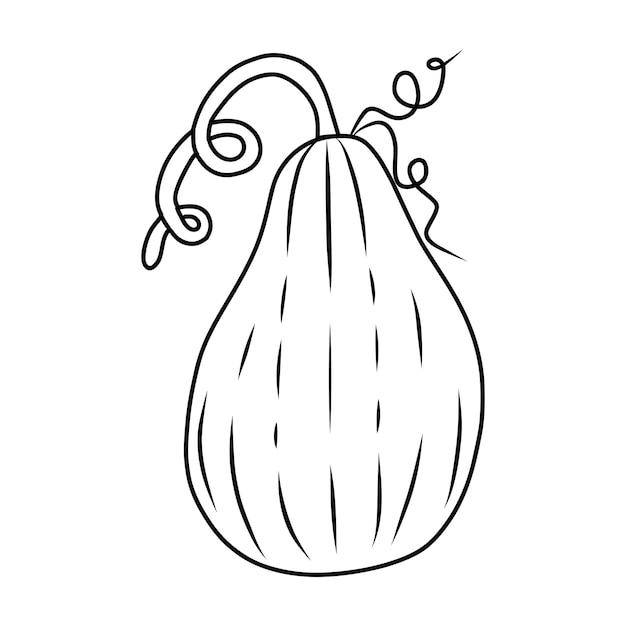 Pompoen tekening geschikt voor het kleuren van boek overzicht pompoenen schets kalebassen verschillende soorten vormen en maten Vector geïsoleerde illustratie voor halloween thanksgiving day