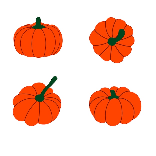 Vector pompoen voor halloween en thanksgiving day-ontwerp