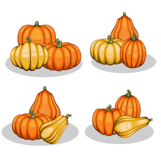 Pompoenen illustratie geïsoleerd op wit Herfst Thanksgiving Pumpkins arrangement op wit