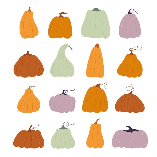 Vector pompoenen plantaardige cartoon pictogrammen met bladeren en bloemen pompoen van verschillende vormen en kleuren geïsoleerde vector voor herfst herfst landbouw oogst thanksgiving of halloween ontwerpen