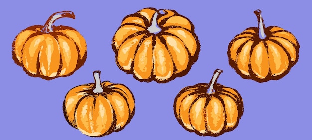 Pompoenset voor decoratie halloween of Thanksgiving Day vakanties