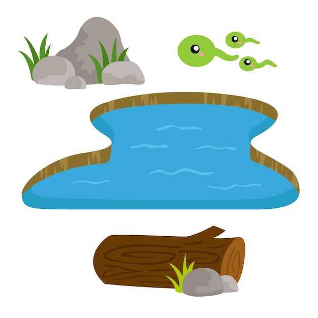 Pond and Stones Clipart Vector for decoration