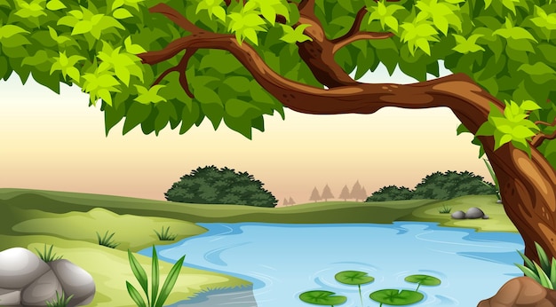 Pond