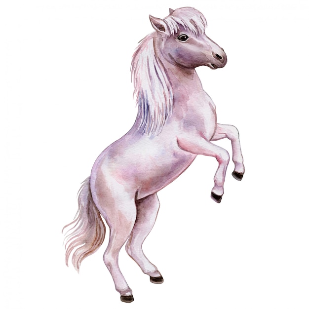 Pony roze in aquarel