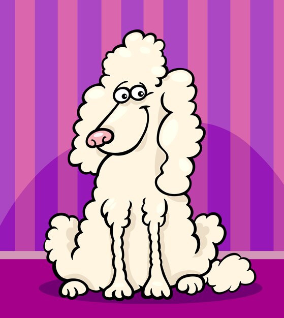 Poodle dog cartoon illustration