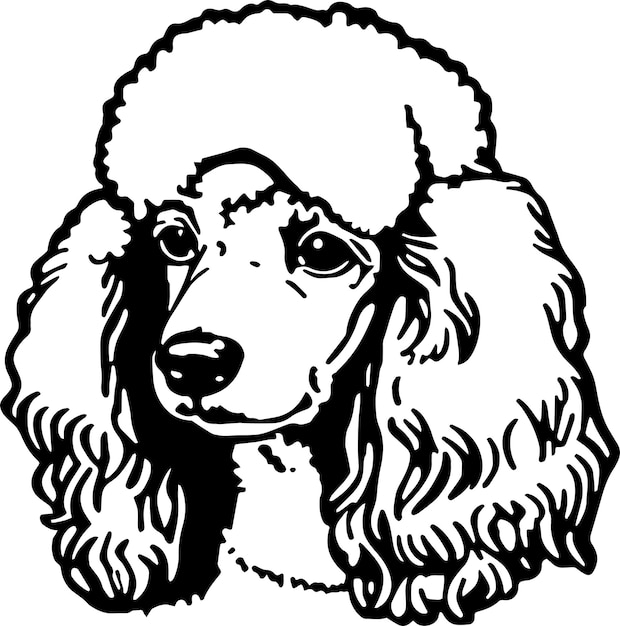 Poodle head dog vector illustration