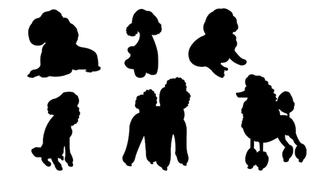 Vector poodle silhouette