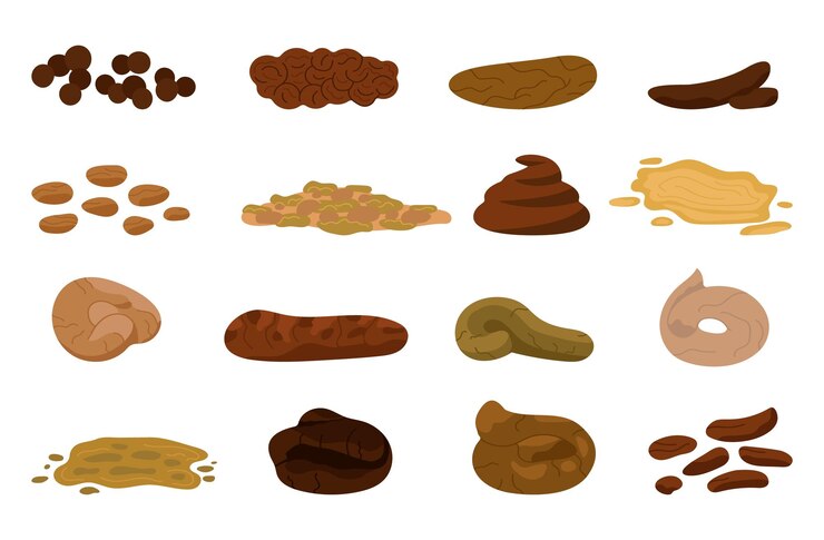 Vector poop elements isolated dog or human poops cartoon excrement animal various fecal for medical check up or bristol scale decent vector icons