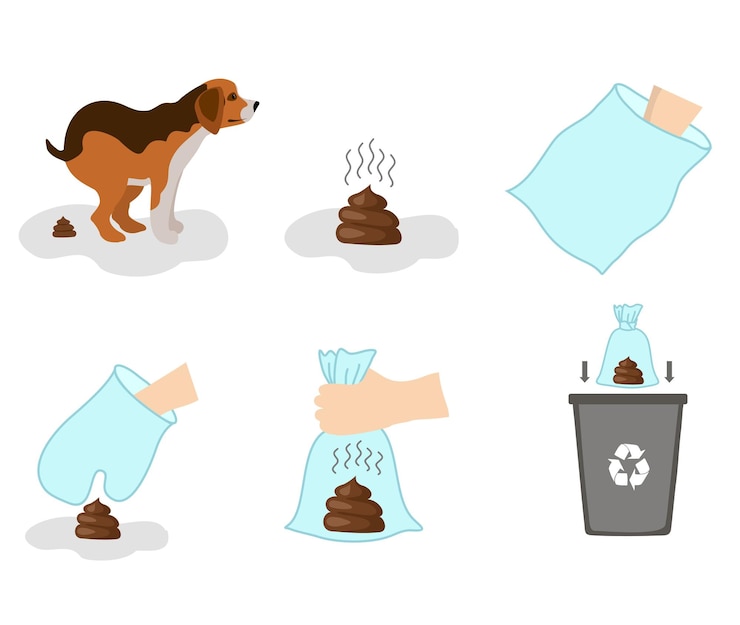 Vector pooping dog infographic poster about hygiene animal toilet cleaning information after your dog dog
