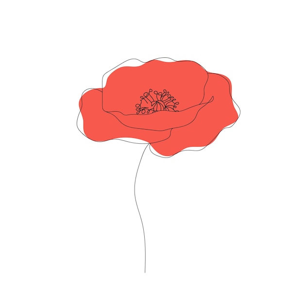 Poppies flower continuous line drawing Abstract minimal poppy Editable vector line