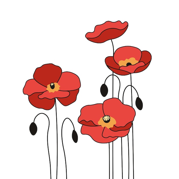 Poppies flowers Set of red poppy Vector illustration