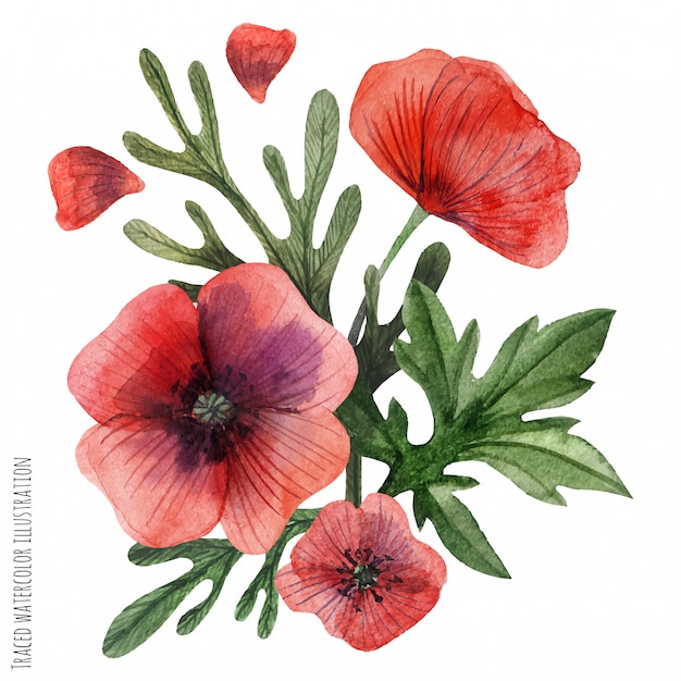 Poppies hand painted watercolor boutonniere