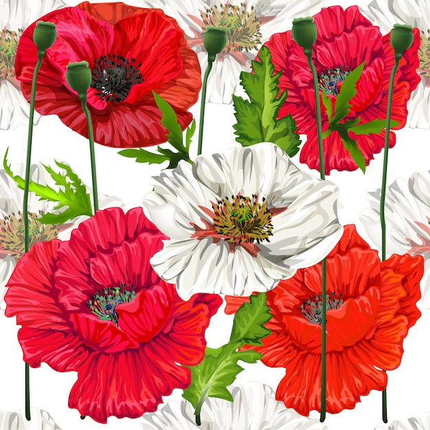 Poppy bloemen