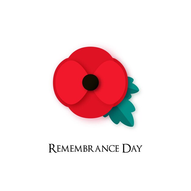 Vector poppy flower illustration for remembrance day