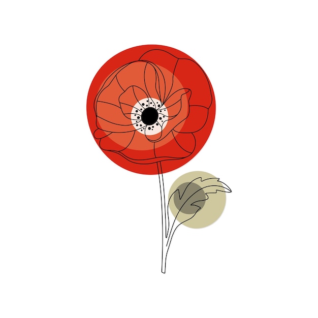 Poppy Flower