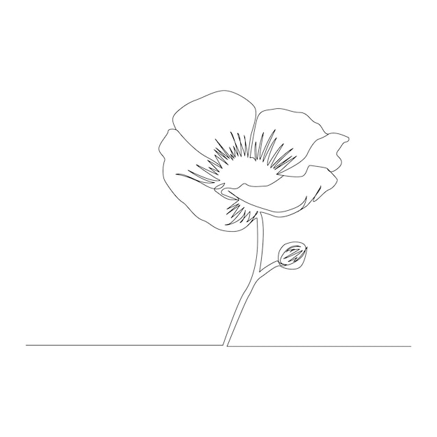 Vector poppy flowers continuous one line vector art illustration and single outline simple flower design