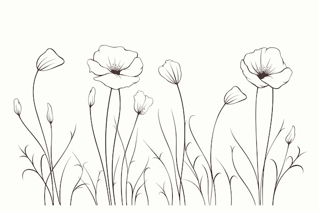 Poppy flowers sketch hand drawn in doodle style illustration