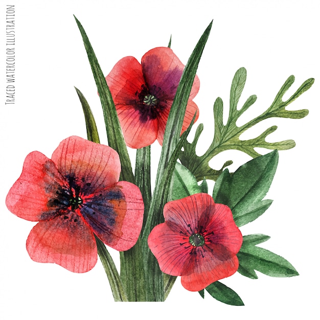 Poppy and grass watercolor boutonniere