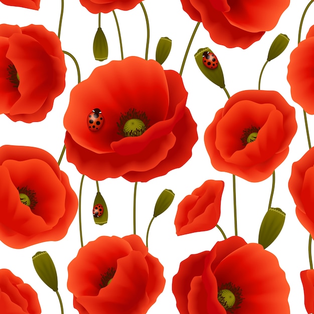 Vector poppy seamless pattern