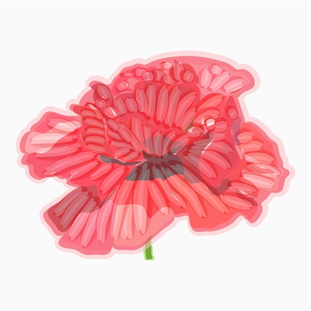 Poppy Watercolor floral illustration Floral decorative element