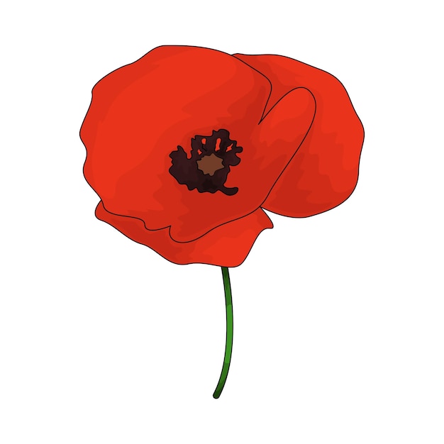 poppy