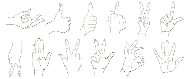 Populaire handgebaren. Set van vector gebaren. Gebaren oke, cool, geef vijf. Handvinger