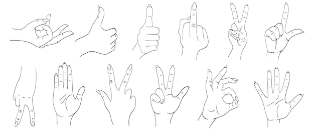 Popular hand gestures. Set of vector gestures. Gestures okay, cool, give five. Hand finger